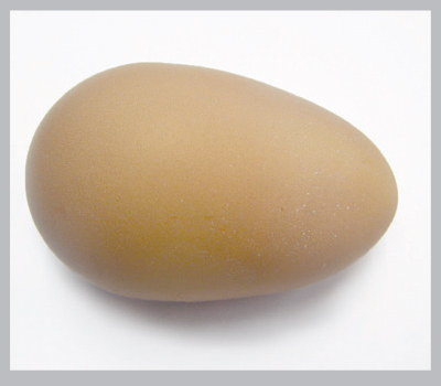 Nepravidelné vejce