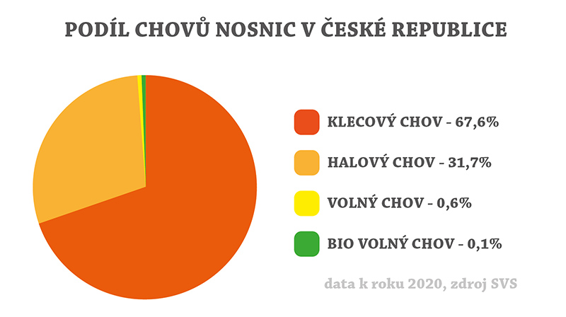 Slepice graf velkochovy