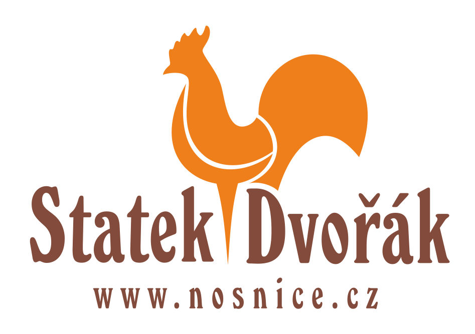 Statek Dvořák